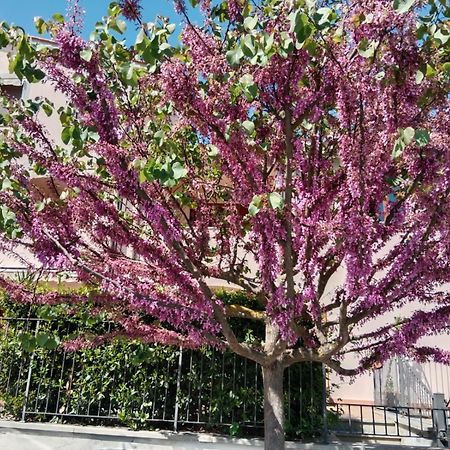 Via Della Musica Apartment Викио Екстериор снимка