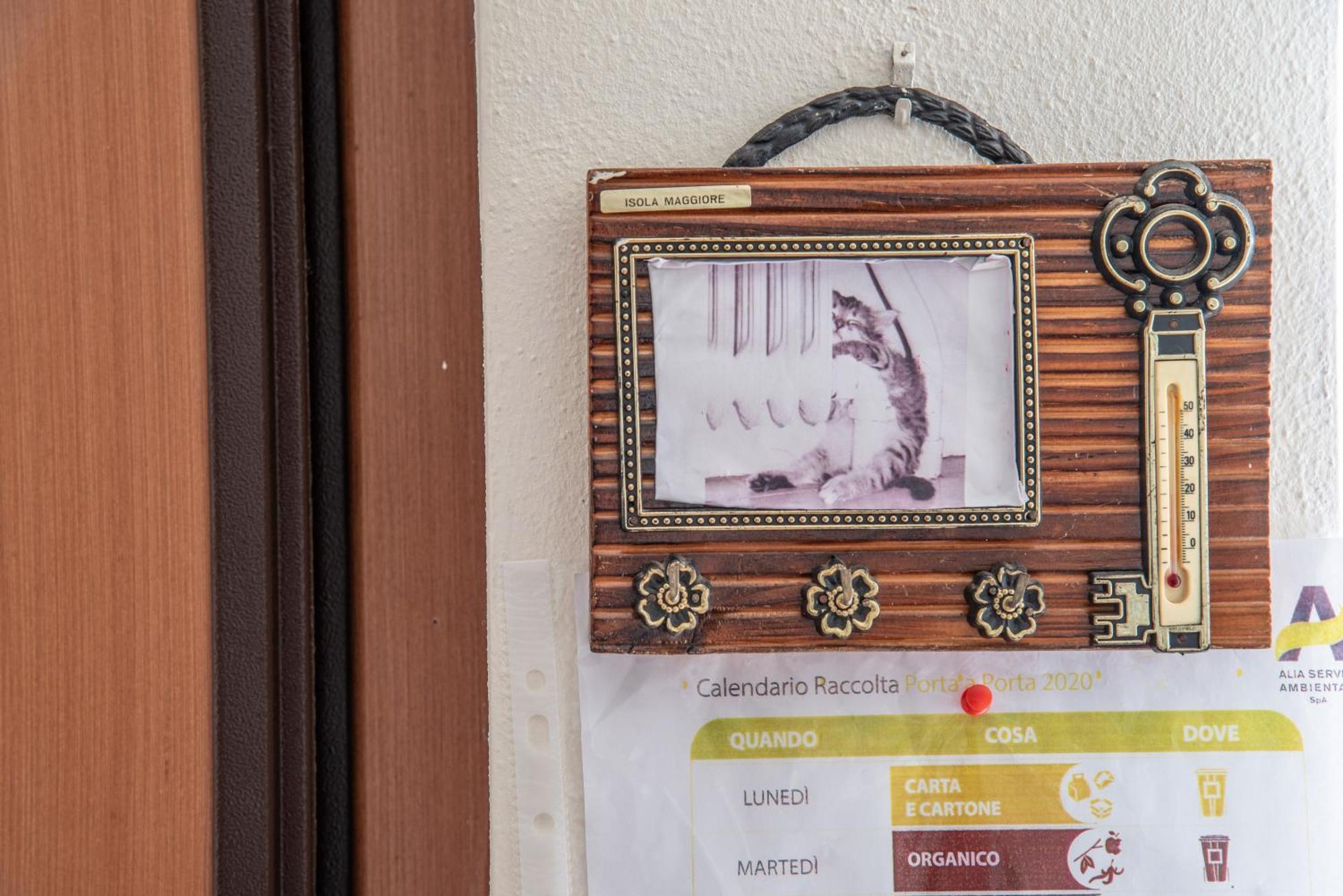 Via Della Musica Apartment Викио Екстериор снимка